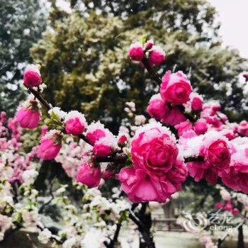 北京顺缘芳芳农家院酒店提供图片