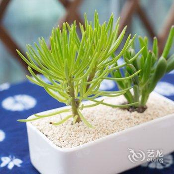 成都SunnyDay普通公寓酒店提供图片