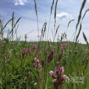 围场安居家庭公寓酒店提供图片