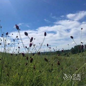 围场安居家庭公寓酒店提供图片