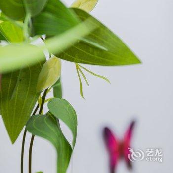 上海兔子家名宿普通公寓酒店提供图片