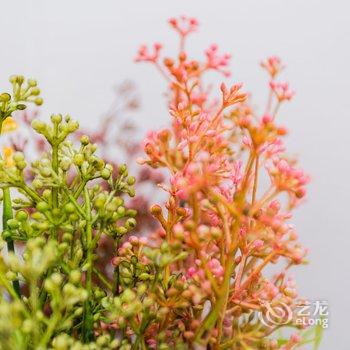 上海兔子家名宿普通公寓酒店提供图片