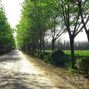 偃师菩提本无树却客居酒店提供图片