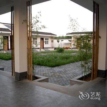 偃师菩提本无树却客居酒店提供图片