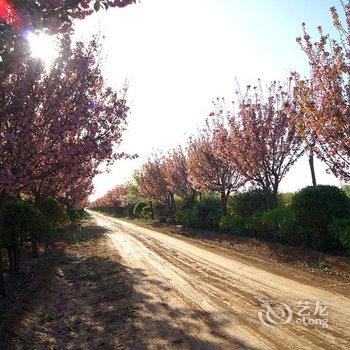 偃师菩提本无树却客居酒店提供图片