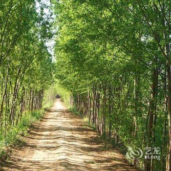 偃师菩提本无树却客居酒店提供图片