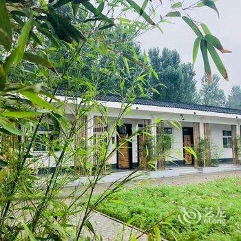 偃师菩提本无树却客居酒店提供图片