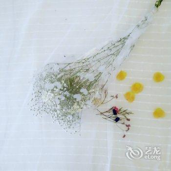 成都天上的猩猩公寓酒店提供图片