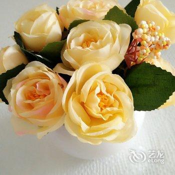 青岛羽赫柠檬公寓酒店提供图片