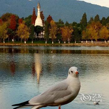 昆明小隐客栈酒店提供图片