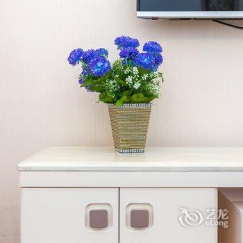 成都途掌柜·正正公寓(生命奥秘博物馆分店)酒店提供图片