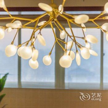 西安SharpLau(00134430)公寓(与西影路分店)酒店提供图片