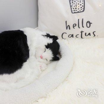 成都司雪冰公寓(丽都路分店)酒店提供图片