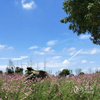 上海锐煜房车露营地酒店提供图片