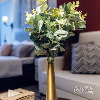 成都归巢公寓(驷马桥四路分店)酒店提供图片