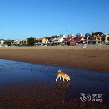 秦皇岛伴海客栈酒店提供图片