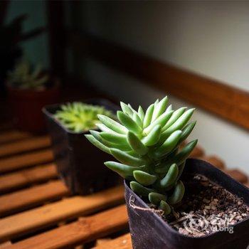 成都洋洋宽窄居公寓(宽巷子分店)酒店提供图片