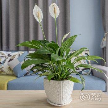 西安艾米女王的小屋公寓酒店提供图片