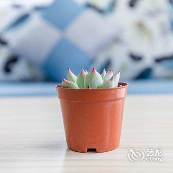 西安艾米女王的小屋公寓酒店提供图片