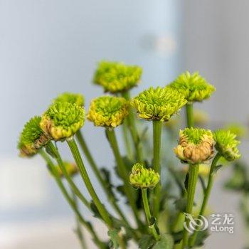 西安艾米女王的小屋公寓酒店提供图片