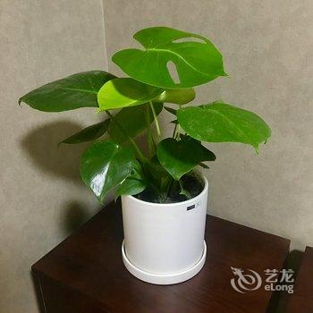 西安小居公寓酒店提供图片