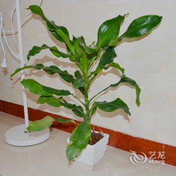 广州玲玲姐公寓(海幢寺分店)酒店提供图片