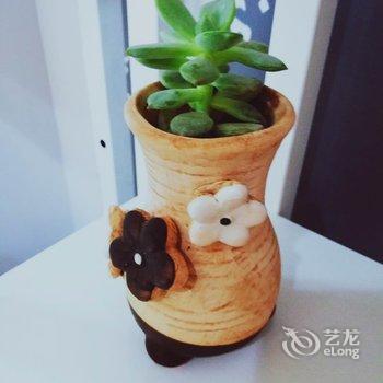 西安清水公寓酒店提供图片