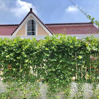 上海崇明陌上花开民宿酒店提供图片