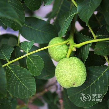 北京山里逸居酒店提供图片