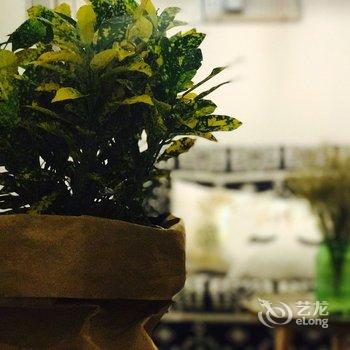 重庆MrSunmer的民宿(五四路店)酒店提供图片