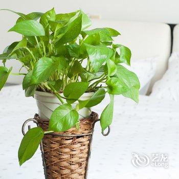 开心0101特色民宿(青岛香港东路店)酒店提供图片