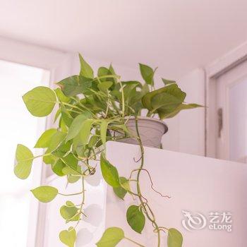 广州Locals路客·广州越秀A83舍公寓(五仙古观分店)酒店提供图片