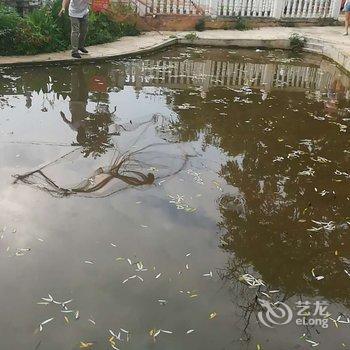 兴安大管家时空王国木屋酒店提供图片