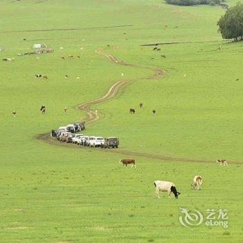 克什克腾旗安达牧人家度假村酒店提供图片