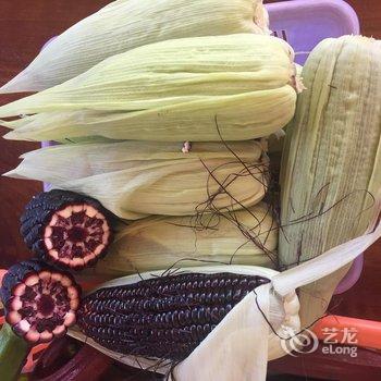 澄江渔山生态园酒店提供图片