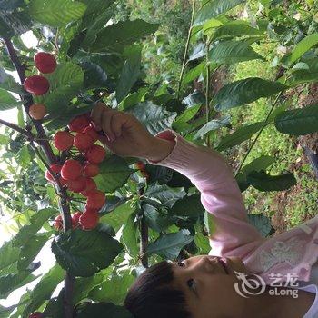 澄江渔山生态园酒店提供图片