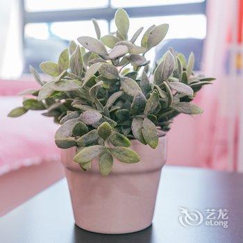 佛系旅宿二店公寓(上海界龙三路分店)酒店提供图片