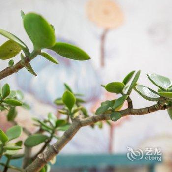 成都小桥流水(00142240)公寓(源泉分店)酒店提供图片