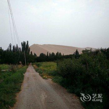 敦煌沙漠驿园酒店提供图片