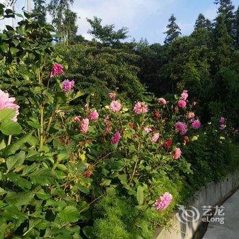 雅安四维山庄酒店提供图片