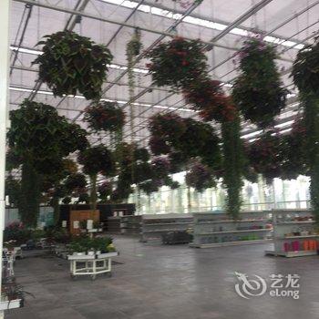 上海Taya风情小屋公寓酒店提供图片