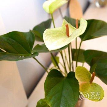 西安Locals路客·西安莲湖A05舍公寓(尚朴路北口分店)酒店提供图片