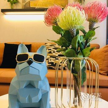 成都成都潇汐汐小屋公寓酒店提供图片