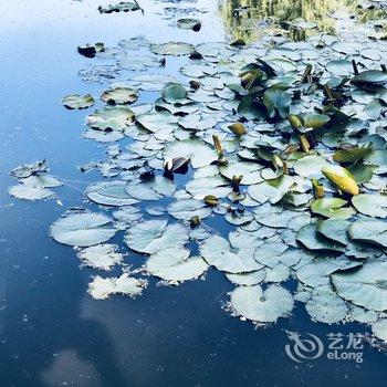 青岛JesseYin度假别墅(霞沟村分店)酒店提供图片