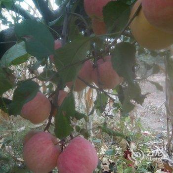 北京爱来农家院民宿酒店提供图片