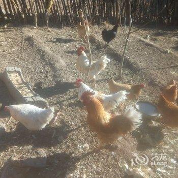 北京爱来农家院民宿酒店提供图片