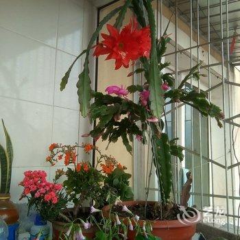 北京爱来农家院民宿酒店提供图片