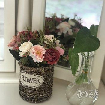 西安开心果和棒棒糖公寓(延兴门北村分店)酒店提供图片
