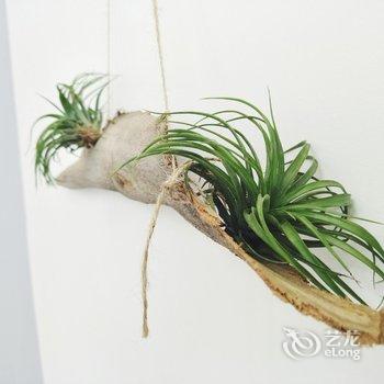 �ɶ��褹�Ԣ(�����Ŷ�һ·�ֵ�)�Ƶ��ṩͼƬ