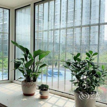 青岛家——山海间公寓酒店提供图片